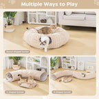 Avont Cat Tunnel Bed for Indoor Cats, Latte | Cat Donut Tunnel Toys | Folds Into a Cozy Bed | 3 Shapes: Donut, C, S | 9.8in Large Cats | 2 Peek Holes & 2 Toy Balls