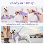 rabbitgoo Dog Harness Small Sized and Leash Set, Step-in Puppy Pet Vest | Light, Soft, Breathable Air Mesh, Easy on and Remove with Hook & Loop, Secure Reflective for Walking, Light Purple S