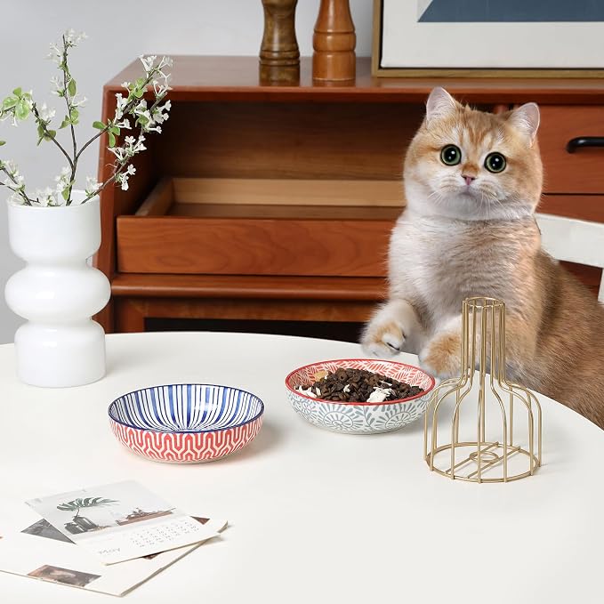 Selamica Ceramic Cat Food Bowl Set of 4, 5.6 Inch Wide Shallow Cat Bowls/Dishes for Food and Water, Assorted Colors