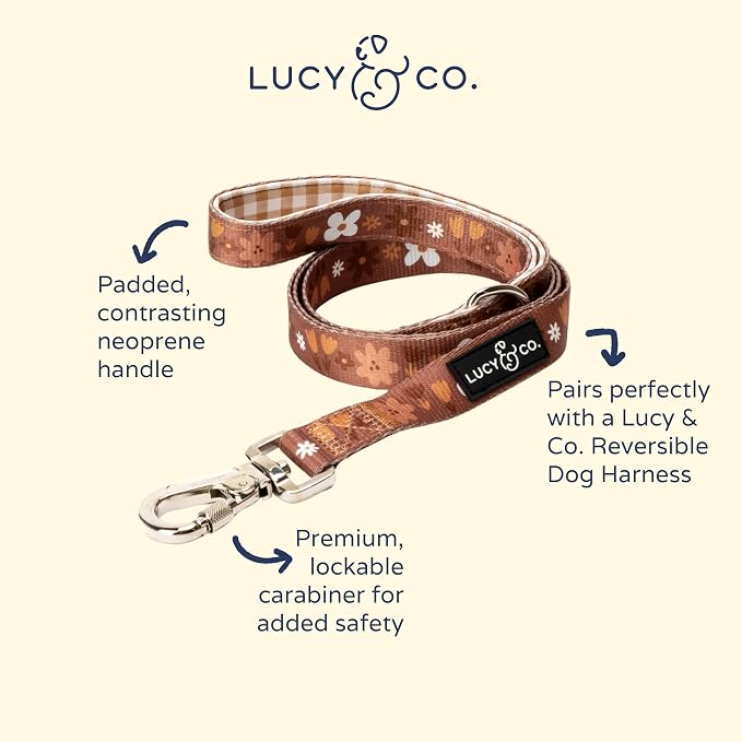 Lucy & Co. 5 Foot Designer Dog Leash for Small, Medium or Big Dogs or Puppies Puppy - Pet Accessories & Supplies -(Chocolate Meadow, Large)