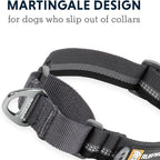 Ruffwear, Web Reaction Dog Collar, Escape-Proof Security Buckle, Adjustable Anti-Slip Martingale Collar with Durable Nylon Tubelok Webbing & Silent ID Attachment, Basalt Gray, 17"-20"