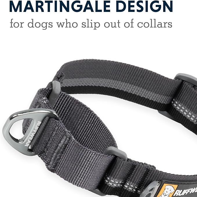 Ruffwear, Web Reaction Dog Collar, Escape-Proof Security Buckle, Adjustable Anti-Slip Martingale Collar with Durable Nylon Tubelok Webbing & Silent ID Attachment, Basalt Gray, 17"-20"