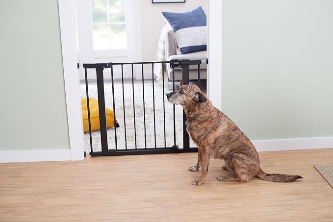 Safety 1st Easy Install 28'' Walk Thru Gate, Fits Between 29'' and 38'', Black, 1-Pack,(GA105CBLK)