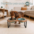 SPUNKYJUNKY Ceramic Elevated Tilted Dog Bowls Bone-Shaped Raised with 2 Height Iron Stand, 6.9'' Dog and Cat Food Water Bowls Set Non-Slip for Small Medium Sized Breed - 20 OZ,Dark Green