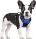 rabbitgoo Dog Harness, No Pull for Small Dogs with 2 Leash Clips, Pet Vest | No Choke with Handle, Adjustable Soft Padded, Reflective, Easy Control for Walking, Dazzling Blue, Small