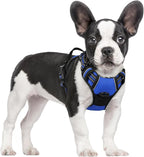 rabbitgoo Dog Harness, No Pull for Small Dogs with 2 Leash Clips, Pet Vest | No Choke with Handle, Adjustable Soft Padded, Reflective, Easy Control for Walking, Dazzling Blue, Small