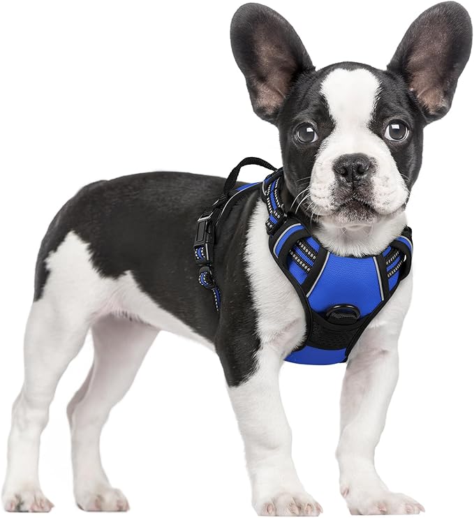 rabbitgoo Dog Harness, No Pull for Small Dogs with 2 Leash Clips, Pet Vest | No Choke with Handle, Adjustable Soft Padded, Reflective, Easy Control for Walking, Dazzling Blue, Small
