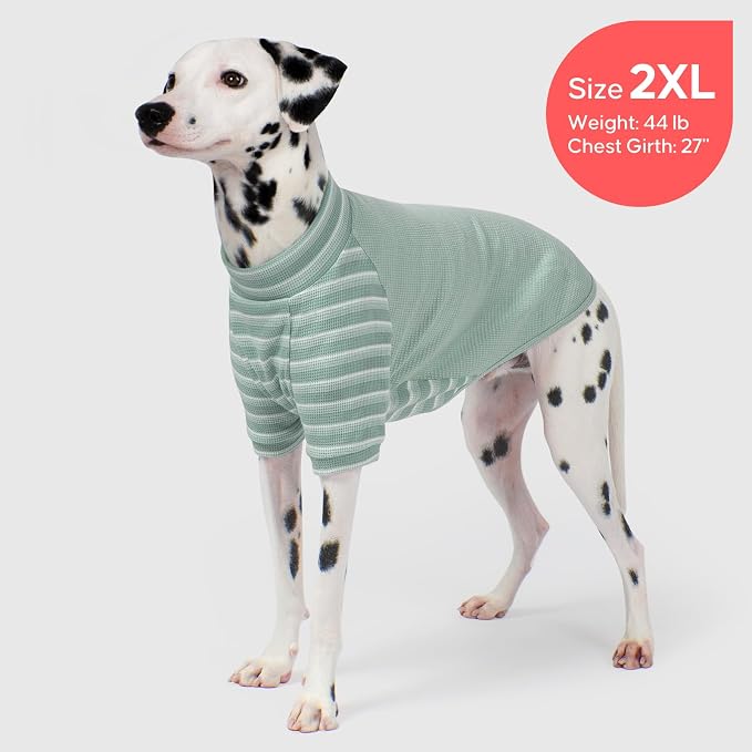 KYEESE 2Pack Waffle Dog Shirt with Sleeves Soft Striped Dog Sweater | Turtleneck, Cozy Warmth. Lightweight & Breathable, Gentle on Sensitive Skin, Free to Move, Comfortable Daily Wear