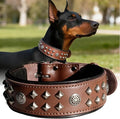 Genuine Leather Dog Collar 2.2 in Wide for Large Dogs Heavy Duty, BN-SL-M | Handcrafted,Stainless Steel Buckle and Alloy Studded,Soft Padded,Fashionable Daily Wear for Large Giant Breed,19.5-23.5 in