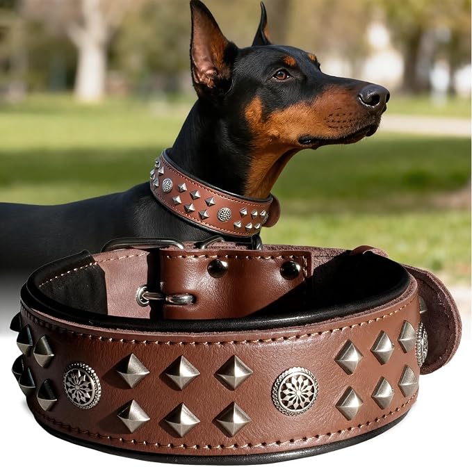 Genuine Leather Dog Collar 2.2 in Wide for Large Dogs Heavy Duty, BN-SL-M | Handcrafted,Stainless Steel Buckle and Alloy Studded,Soft Padded,Fashionable Daily Wear for Large Giant Breed,19.5-23.5 in