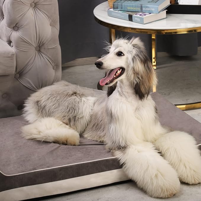 Laifug Orthopedic Dog Beds for Large Dogs,4.5" Memory Foam Dog Beds,Durable Water Proof Liner Removable and Washable, Nonskid Bottom, Grey 46"x28"x8"