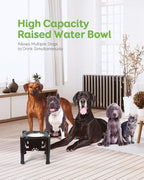 Elevated Dog Bowls, 80Oz Stainless Steel Water Feeder | 3 Adjustable Heights (6.1", 7.7", 9.3"), Anti-Spill Design for Small to Medium Sized Dogs