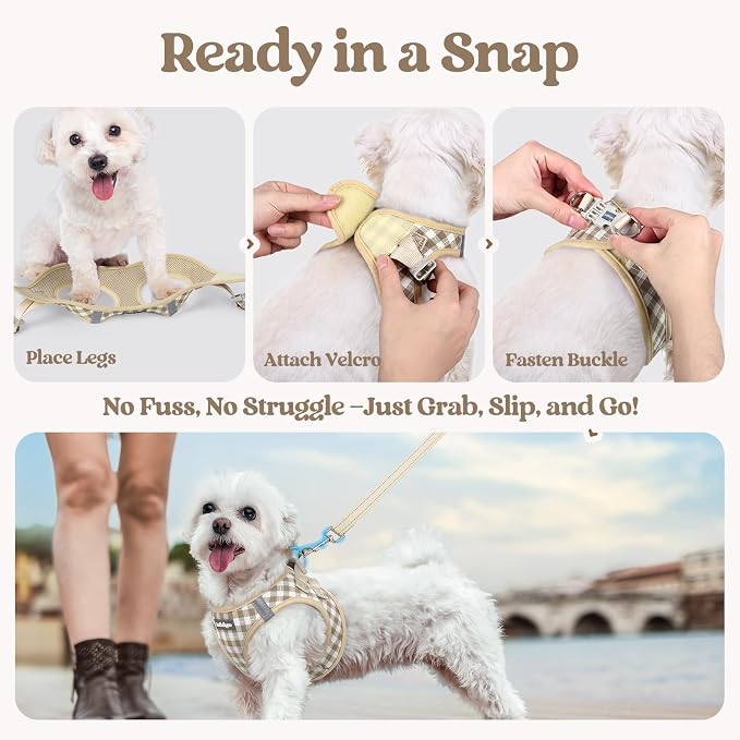 rabbitgoo Dog Harness Small Sized and Leash Set, Step-in Puppy Pet Vest | Light, Soft, Breathable Air Mesh, Easy on and Remove with Hook & Loop, Secure Reflective for Walking, Beige Check S