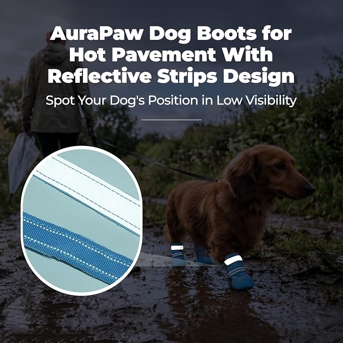 Outdoor Dog Boots for Hiking and Walking, Breathable Mesh Booties Hot Pavement, Reflective and Anti Slip Summer Paw Protector, Blue, Size 2