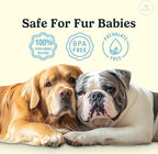 Jasper Dog Toothbrush, 360° Finger Toothbrush for Dogs, Multicolor 4-Pack | 12x More Bristles, Teeth Cleaning Kit for Small & Large Pets, Toothpaste Not Included, Fights Bad Breath, Extra Soft Silicone