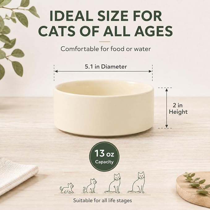 Havniva Cat Bowls Set of Two, 5.1” Ceramic Cat Food and Water Bowls | Cat Food Bowls Whisker Friendly, Non-Slip Base, Food-Grade Ceramic, Wide Opening, Dishwasher Safe, Cat Bowls for Indoor Cats