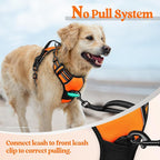 rabbitgoo Dog Harness, No Pull for Small Dogs with 2 Leash Clips, Pet Vest | No Choke with Handle, Adjustable Soft Padded, Reflective, Easy Control for Walking, Orange, Small
