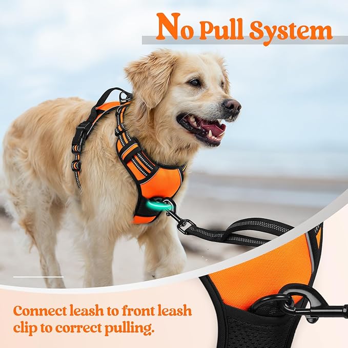 rabbitgoo Dog Harness, No Pull for Small Dogs with 2 Leash Clips, Pet Vest | No Choke with Handle, Adjustable Soft Padded, Reflective, Easy Control for Walking, Orange, Small