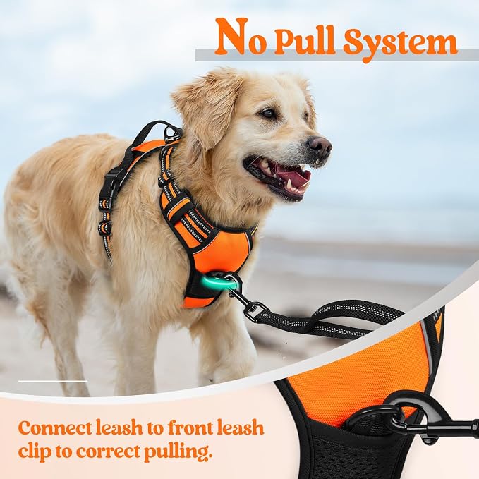 rabbitgoo Dog Harness, No Pull for Large Dogs with 2 Leash Clips, Pet Vest | No Choke with Handle, Adjustable Soft Padded, Reflective, Easy Control for Walking, Orange, X-Large
