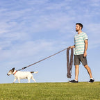 Long Dog Leash for Training 30Ft-Reflective Nylon Rope with Swivel Hook-Recall Agility Lead for Large Small Medium Dogs Outside Walking Hiking-Brown Diam 1/2"