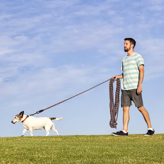 Long Dog Leash for Training 30Ft-Reflective Nylon Rope with Swivel Hook-Recall Agility Lead for Large Small Medium Dogs Outside Walking Hiking-Brown Diam 1/2"