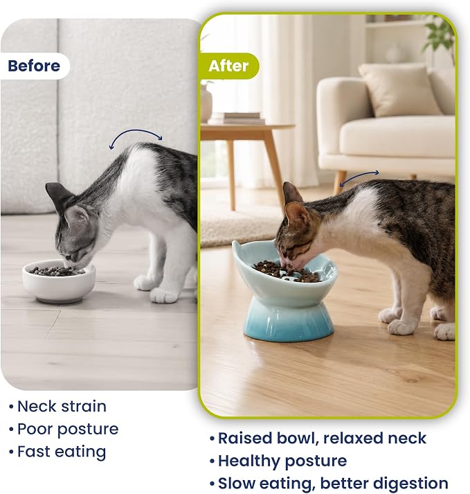 Lynx Ceramic Raised Slow Dog & Cat Elevated Food Bowl, Arctic Ombre | Tilted 15° Elevated Pet Food Bowl, Whisker-Friendly, Anti-Choking Dish, Dishwasher Safe, Nonslip, Food Grade Material