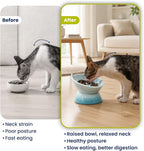Lynx Ceramic Raised Slow Dog & Cat Elevated Food Bowl, Arctic Ombre | Tilted 15° Elevated Pet Food Bowl, Whisker-Friendly, Anti-Choking Dish, Dishwasher Safe, Nonslip, Food Grade Material