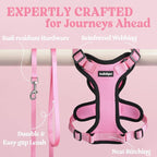 rabbitgoo Cat Harness and Leash Set, Escape Proof Vest, Pink | Soft Breathable Mesh, Easy Adjustable Fit, Snap Buckles, Sturdy Clip, Reflective Strips, for Small & Average Cats Walks, Xs