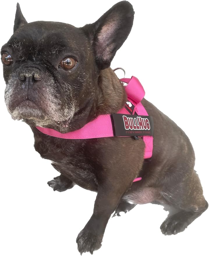 BULLHUG Adjustable Dog Harness– No Pull, No Choke – for English Bulldogs, French Bulldogs, Pugs & Broad-Chested Breeds – Easy, Safe Walks (Teal, Small)