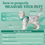 rabbitgoo Cat Harness and Leash Set, Escape Proof Vest, Cherry Grove | Soft Breathable Mesh, Easy Adjustable Fit, Snap Buckles, Sturdy Clip, Reflective Strips, for Kittens & Small Cats Walks, Xxs