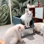 Stainless Steel Cat Litter Box with Lid,Metal Cat Litter Box,23.5x15.5x16in | Cat Litter Pan for Large Cats, Non-Sticky Large Kitty Litter Box Easy to Clean, Anti-Leakage,xxxl