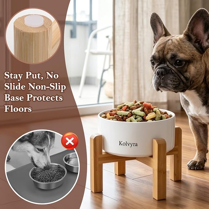 6" Elevated Ceramic Dog Bowl, Anti-Vomiting 23oz for Small Dogs | Premium Food-safe Ceramic with Anti-slip Wood Stand,Dishwasher Safe,Ergonomic Height Relieves Neck Strain,White