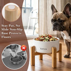 6" Elevated Ceramic Dog Bowl, Anti-Vomiting 23oz for Small Dogs | Premium Food-safe Ceramic with Anti-slip Wood Stand,Dishwasher Safe,Ergonomic Height Relieves Neck Strain,White