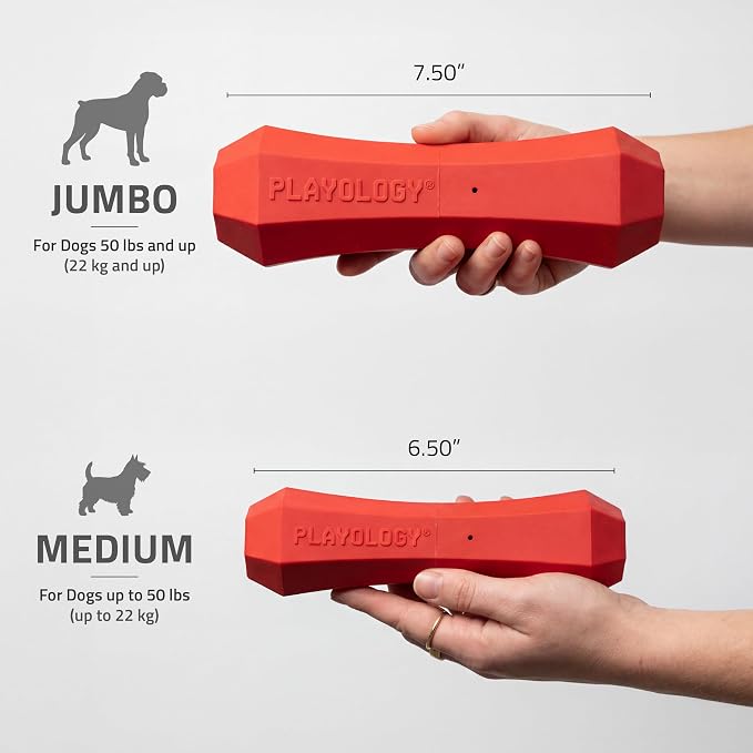 Playology Dog Toys | Squeaky Chew Stick for Large Dogs | Beef Scented Jumbo Fetch Toy | Squeaky Dog Chew Toy