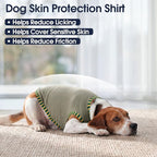 IECOii 2 Pack Dog Surgery Recovery Shirt Sleeveless Lightweight Dog Tshirt | T-Shirts with Stretch Fit,Gentle on Sensitive Skin,Anti-licking for Hot Spots,Shedding Control Tee,For Small to Giant Dogs