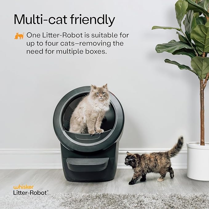 Litter-Robot 4 with Step & Fence by Whisker, Black | Automatic, Self-Cleaning Cat Litter Box, Helps Reduce Litter Box Odors, Never Scoop Again, Includes 1 Year of WhiskerCare