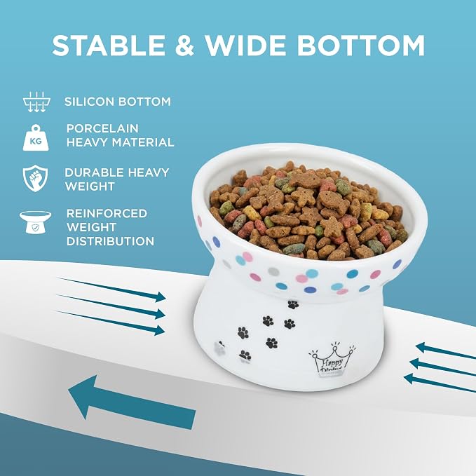 Necoichi Ceramic Raised Cat Food Bowl, 15° Tilted (Colorful Dots, Regular)