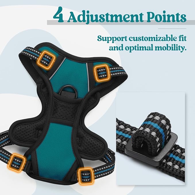 rabbitgoo Dog Harness, No Pull for Small Dogs with 2 Leash Clips, Pet Vest | No Choke, Adjustable, Breathable Padded, 2 Lead Rings, Reflective, Easy Control for Walking Training, XS, Blue Coral