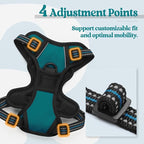 rabbitgoo Dog Harness, No Pull for Small Dogs with 2 Leash Clips, Pet Vest | No Choke, Adjustable, Breathable Padded, 2 Lead Rings, Reflective, Easy Control for Walking Training, XS, Blue Coral
