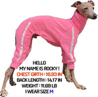 D Doggy Star Italian Greyhound Clothes Stretchy Towel Sports Onesie Outfit Whippet for Dog Coat (L,TWL NeonPink)