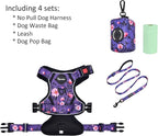 Petmolico No Pull Dog Harness Set with Leash Attachment Easy Control Handle Reflective Harness Vest Small Breed, Puppy Vest and Leash Set with Poop Bag Holder, Medium - Purple Peach