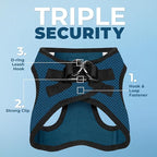 Best Pet Supplies Voyager Step-in Air All Weather Mesh Harness and Reflective Dog 5ft Leash Combo with Neoprene Handle, for Small, Medium and Large Breed Puppies - Blue/Black Trim, Small