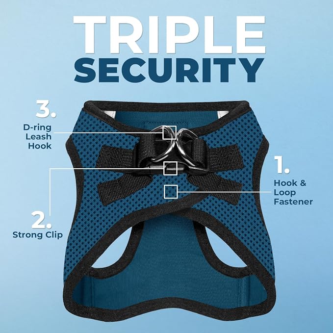 Best Pet Supplies Voyager Step-in Air All Weather Mesh Harness and Reflective Dog 5ft Leash Combo with Neoprene Handle, for Small, Medium and Large Breed Puppies - Blue/Black Trim, XX-Small