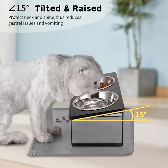 Summark 2Pack Elevated Cat Bowls with Food Mat,15°Tilted Stand Anti Vomiting Raised Cat Dishes for Food and Water,2 Stainless Steel Bowls for Cats and Puppy,Black