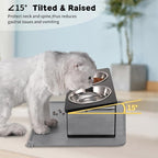 Summark 2Pack Elevated Cat Bowls with Food Mat,15°Tilted Stand Anti Vomiting Raised Cat Dishes for Food and Water,2 Stainless Steel Bowls for Cats and Puppy,Black