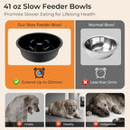 URPOWER Mess Proof Elevated Dog Bowls, Slow Feeder with Splash Guard | No Spill Water Bowl, Slow Feeder Dog Bowls, Non-Slip Food and Water Bowl Set for Small, Medium & Large Dogs