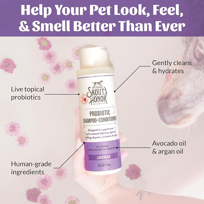 SKOUT'S HONOR Probiotic Dog Shampoo and Conditioner, 16 oz, 2-Pack | Natural 2-in-1 for Itchy Skin, Microbiome-Friendly with Avocado Oil & Omega-3s, Paraben & Sulfate-Free