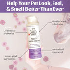 SKOUT'S HONOR Probiotic Dog Shampoo and Conditioner - Lavender, 16 oz | Hydrating, Natural 2-in-1 for Itchy Skin, Microbiome-Friendly with Avocado Oil & Omega-3s, Paraben & Sulfate-Free