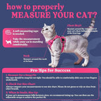 rabbitgoo Cat Harness and Leash Set, Escape Proof Vest, Coconut Fuchsia | Soft Breathable Mesh, Easy Adjustable Fit, Snap Buckles, Sturdy Clip, Reflective Strips, for Medium to Large Cats Walks, M