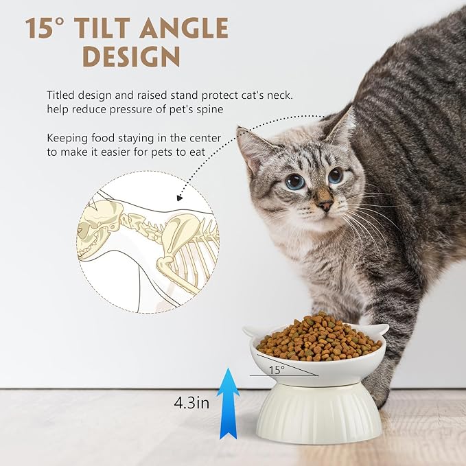 6 Pack Ceramic Raised Cat Bowl, 15° Tilted Anti-Vomiting Cat Food Dish, 5.6 Inch Wide Opening for Stress-Free Eating, Detachable Elevated Feeder for Senior Cats, Kittens, Small Dogs